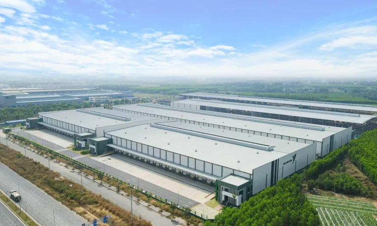 picture14 1769506632 176950665 5204 1123 1769506971